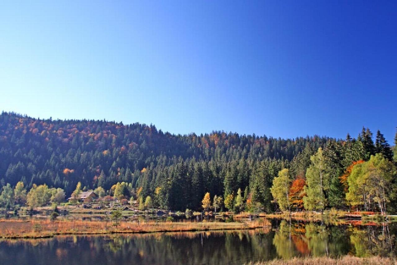Ferienhaus Mariele Lohberg Dış mekan fotoğraf